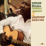 Muddy Waters: At Newport | Vinyl LP, Blues Joint