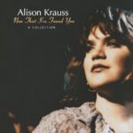Alison Krauss: Now That I've Found You - A Collection | Vinyl LP, Rounder / Craft Recordings
