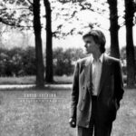 David Sylvian: Briiliant Trees | Vinyl LP, Virgin / Integral