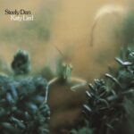 Steely Dan: Katy Lied | Vinyl LP, Geffen